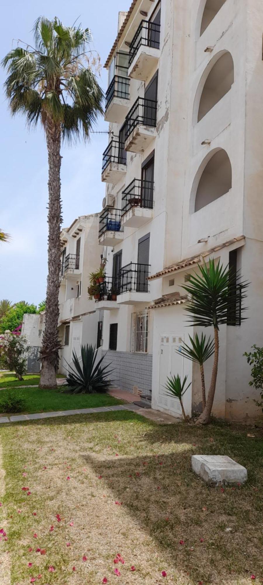 Apartment Los Locos Beach With Balcony And Wi-Fi Torrevieja Eksteriør billede